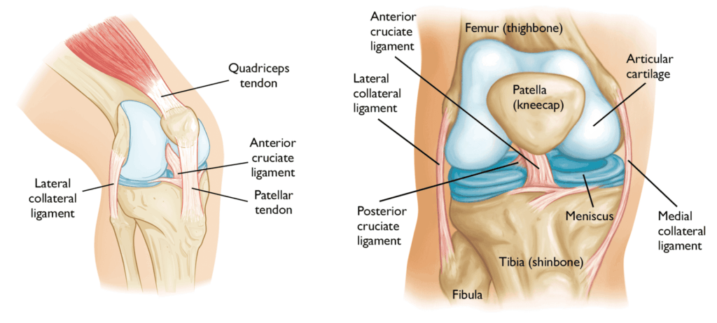 knee injury physio Limerick